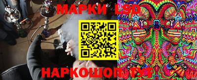 a pvp Гатчина