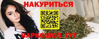 a pvp Гатчина