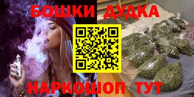 a pvp Гатчина
