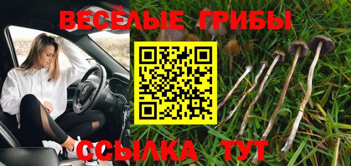 Бугуруслан  Галлюциногенные грибы Psilocybe  Псилоцибиновые грибы мицелий  Вход с VPN 